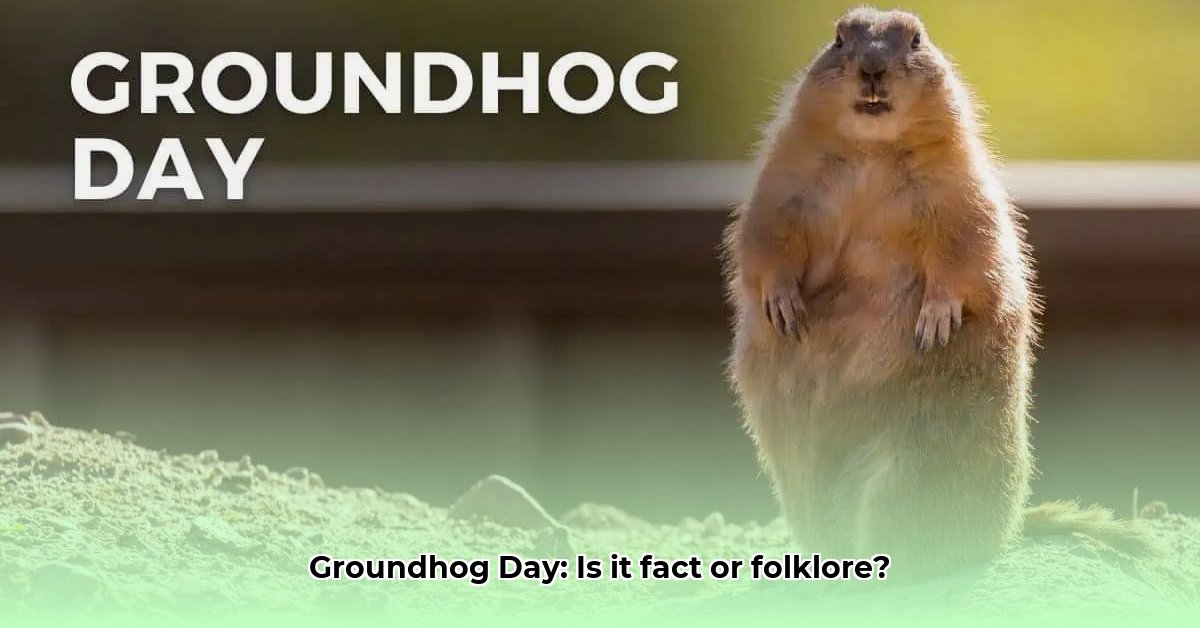 groundhog-nederlands